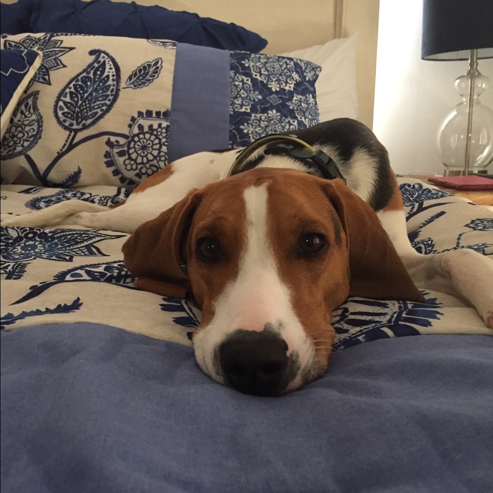 Meet your Posher, Julie